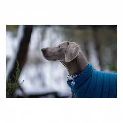 Travelling and walks Dog Coat Red Dingo Puffer Turquoise 40 cm