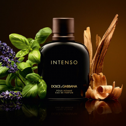 Perfumes for men Men's Perfume Dolce & Gabbana EDP 75 ml Intenso