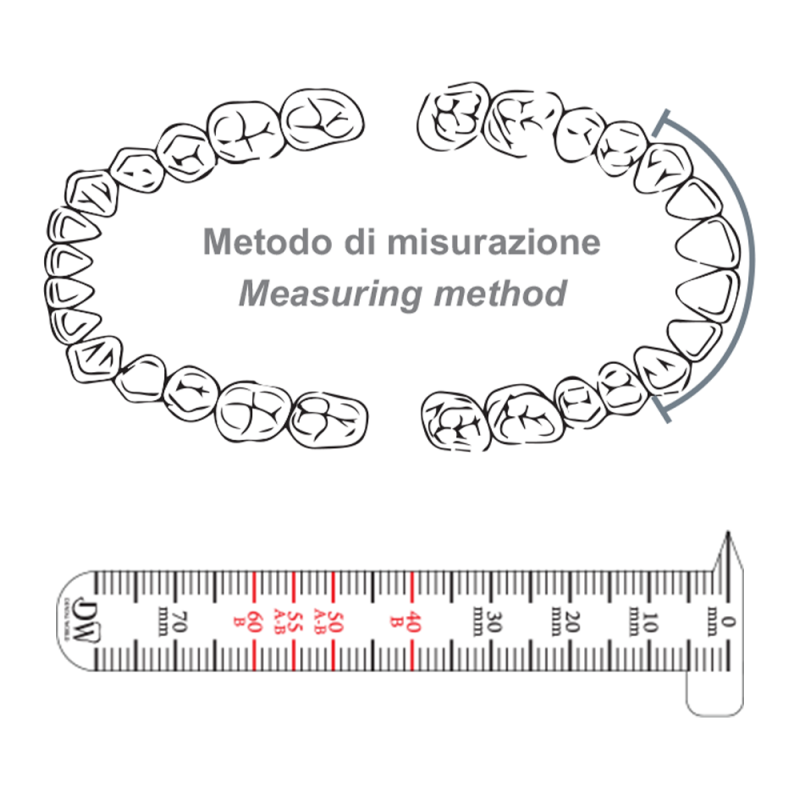 Beißen und Geräte Ortho Control Ruler Lineal Messlineal 10Stk